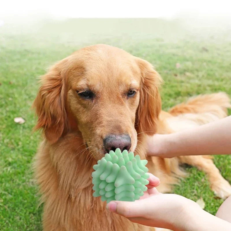 Leckerli-Ball aus Gummi für Hunde und Katzen